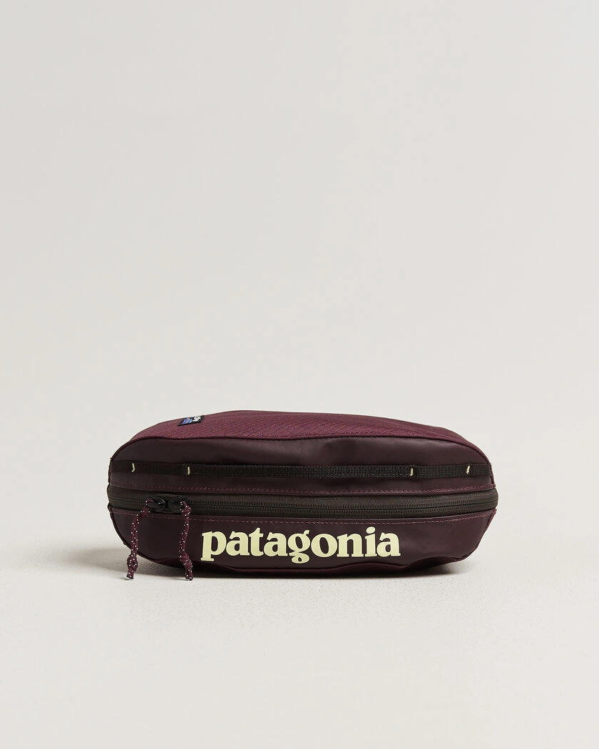 Patagonia Black Hole Cube 3L Berry Fig – Paars