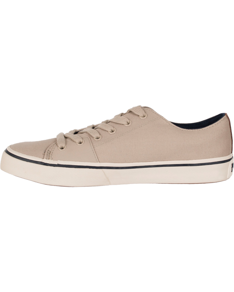 Heren | Polo Ralph Lauren Cantor Low-NE Sneaker Stone Grey | Polo Ralph Lauren | Cantor Low-NE Sneaker Stone Grey