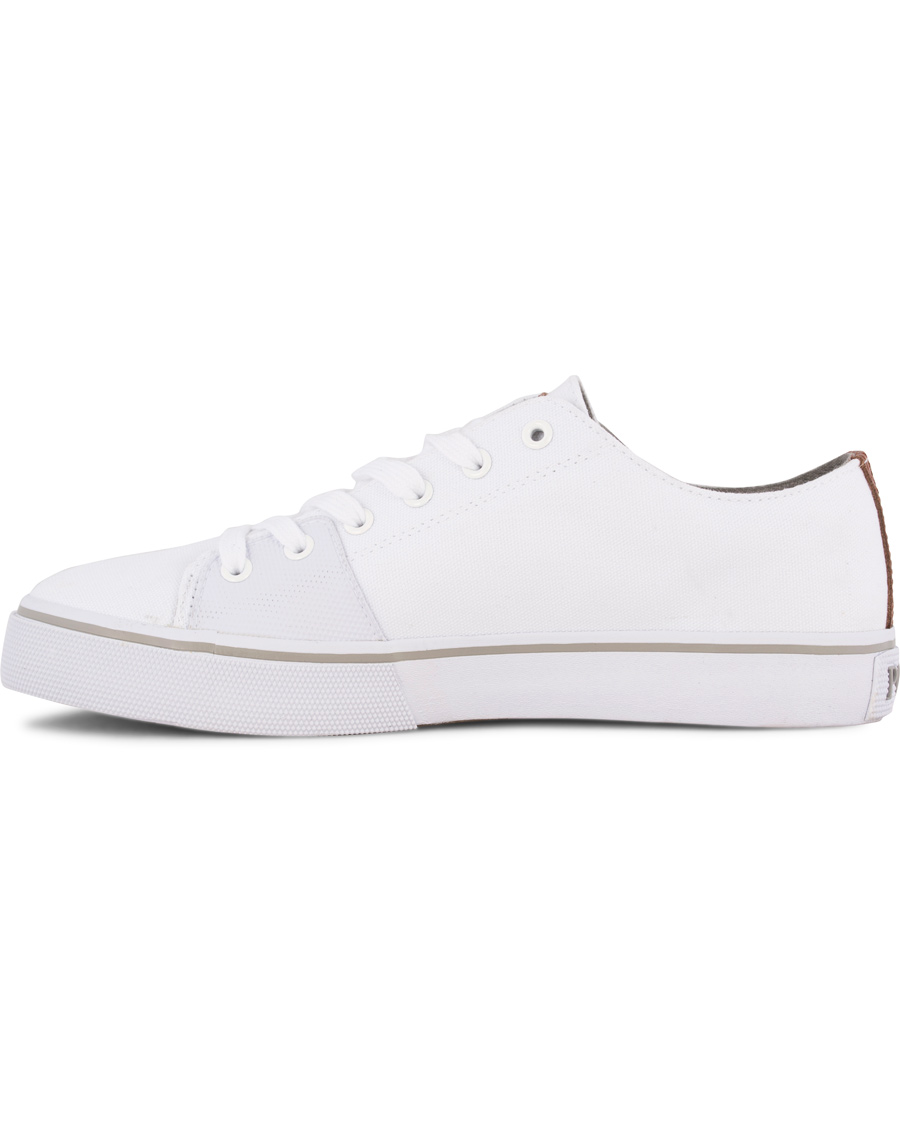 Heren | Polo Ralph Lauren Cantor Low Sneaker Pure White | Polo Ralph Lauren | Cantor Low Sneaker Pure White
