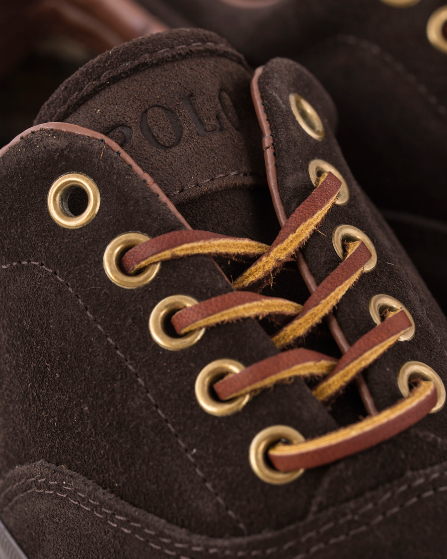 Heren | Polo Ralph Lauren Vaughn Sneaker Dark Brown Suede | Polo Ralph Lauren | Vaughn Sneaker Dark Brown Suede