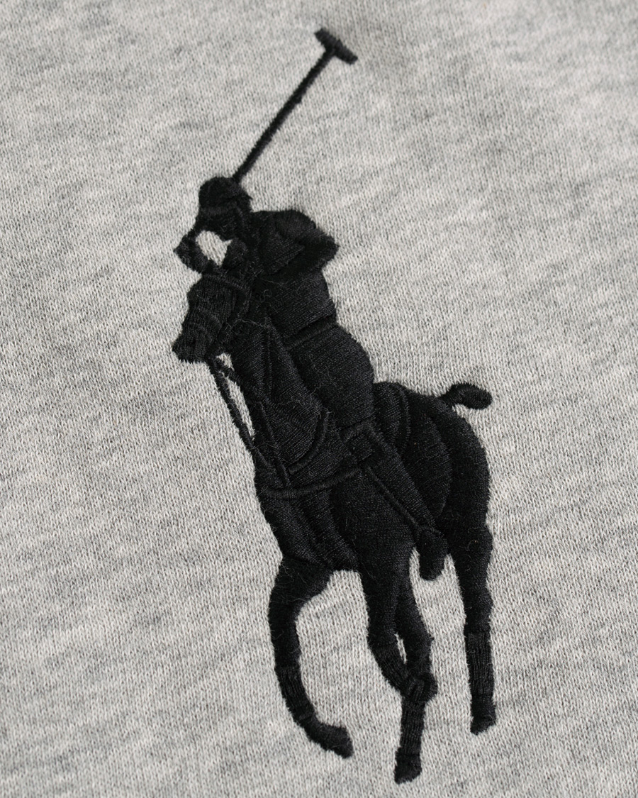 Heren | Truien | Polo Ralph Lauren | Big Pony Hoodie Andover Heather