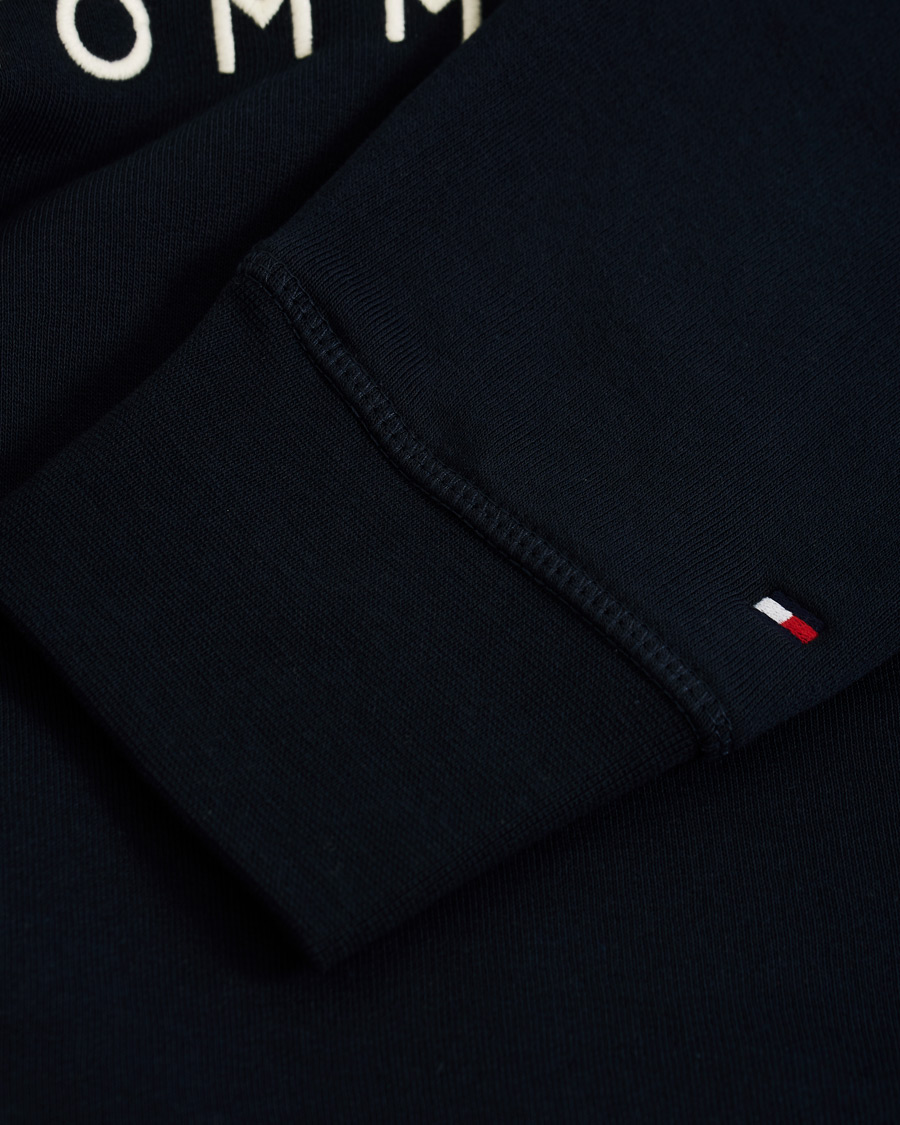 Heren | Truien | Tommy Hilfiger | Logo Hoodie Sky Captain