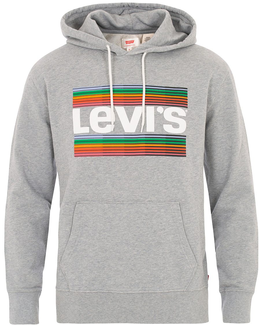 Heren | Truien | Levi's | Graphic Hoodie Grey