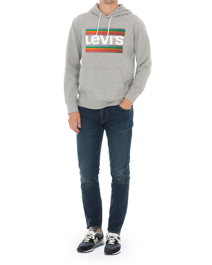 Heren | Truien | Levi's | Graphic Hoodie Grey
