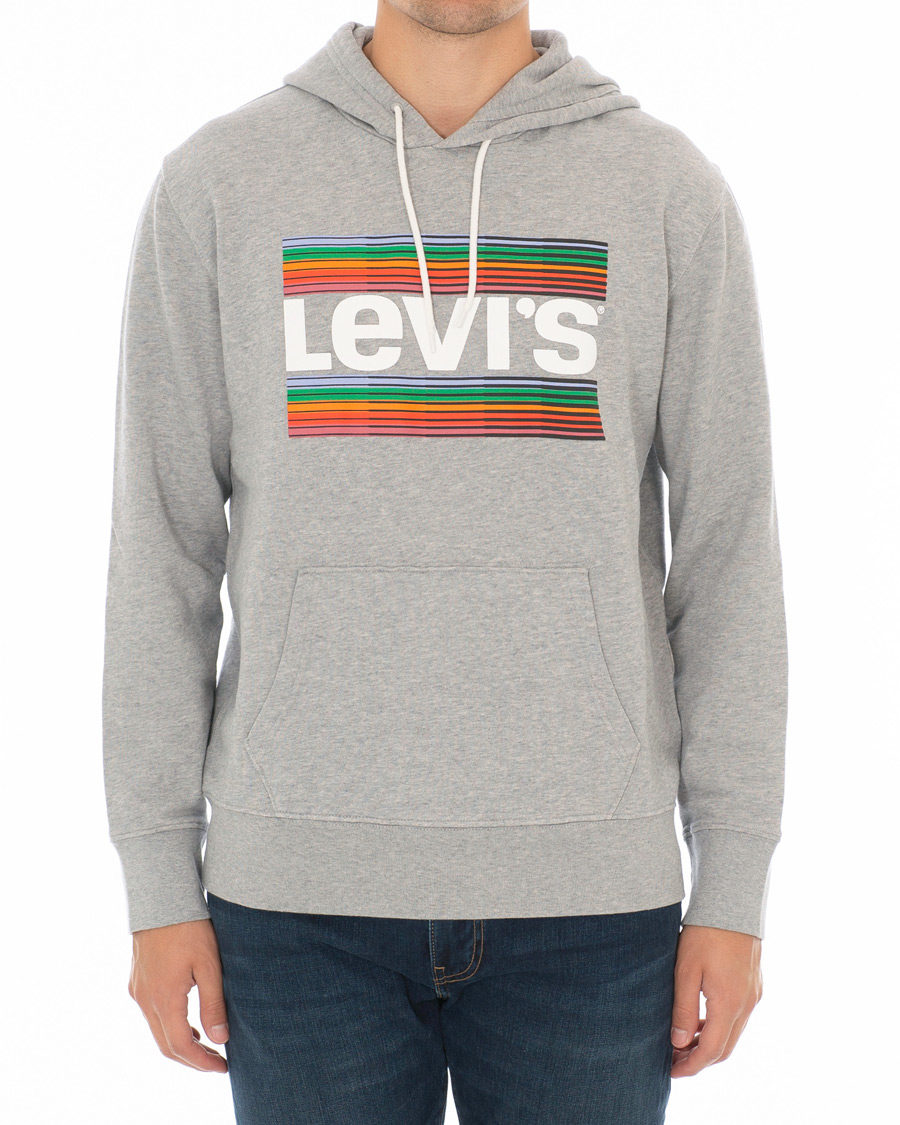 Heren | Truien | Levi's | Graphic Hoodie Grey