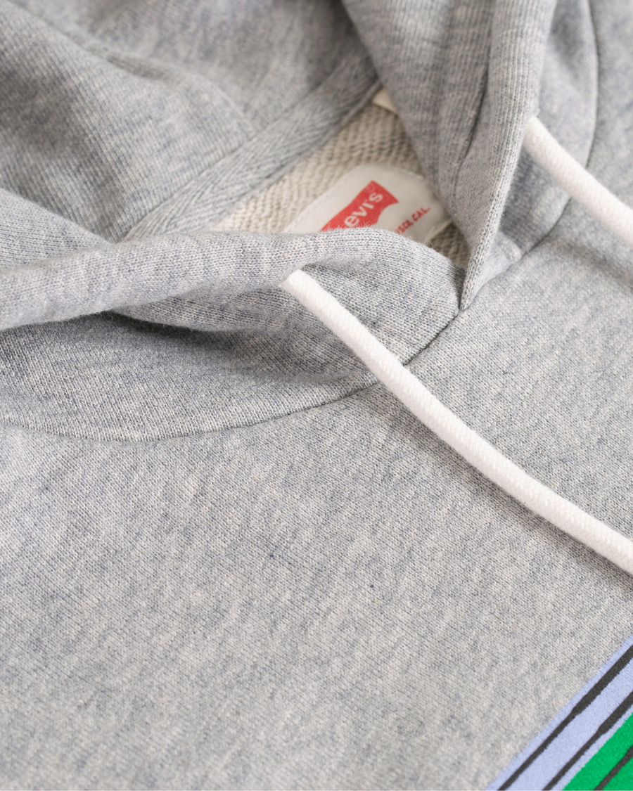 Heren | Truien | Levi's | Graphic Hoodie Grey
