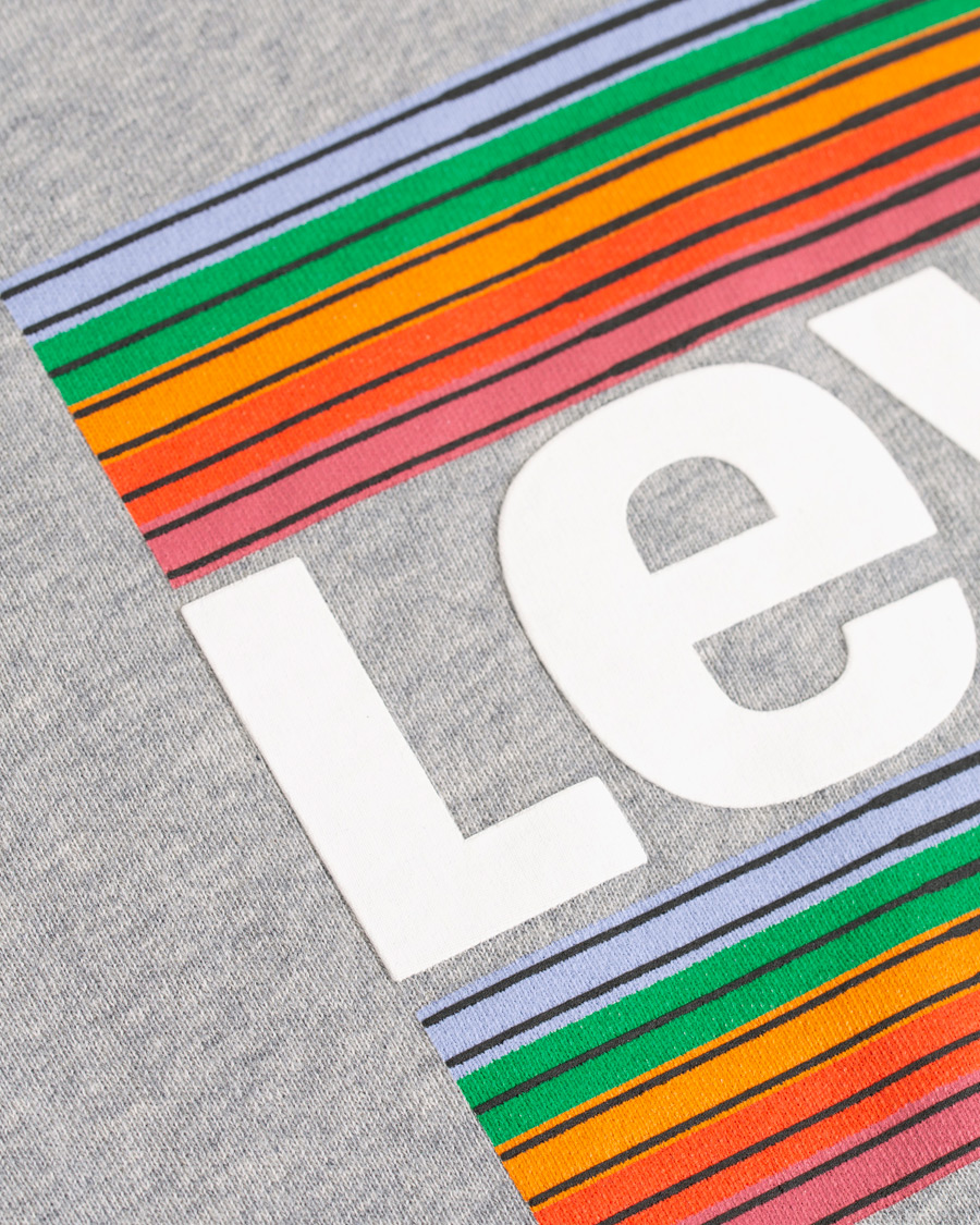 Heren | Truien | Levi's | Graphic Hoodie Grey