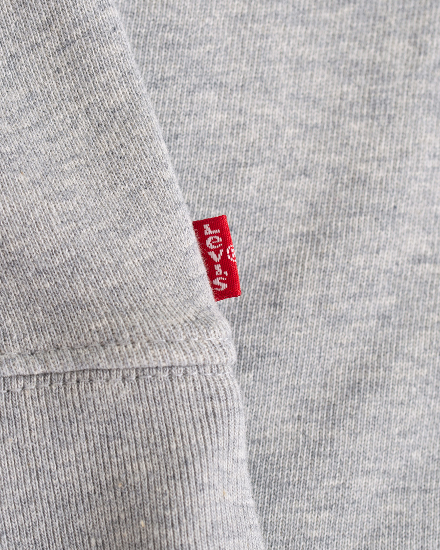 Heren | Truien | Levi's | Graphic Hoodie Grey