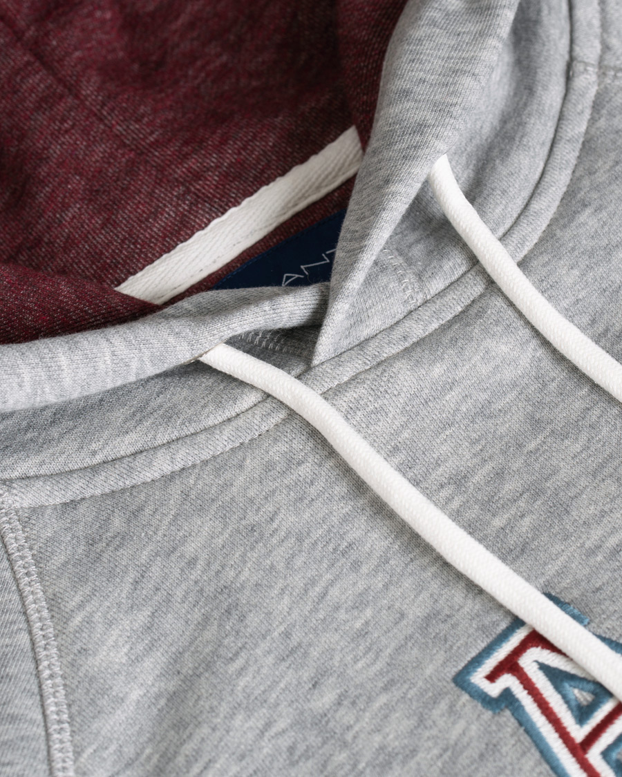 Heren | Truien | GANT | Graphic Sweat Hoodie Grey Melange