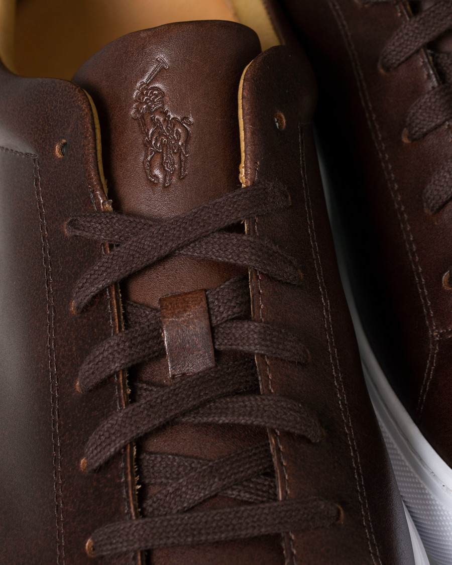 Heren | Polo Ralph Lauren Jermain II Sneaker Brown | Polo Ralph Lauren | Jermain II Sneaker Brown