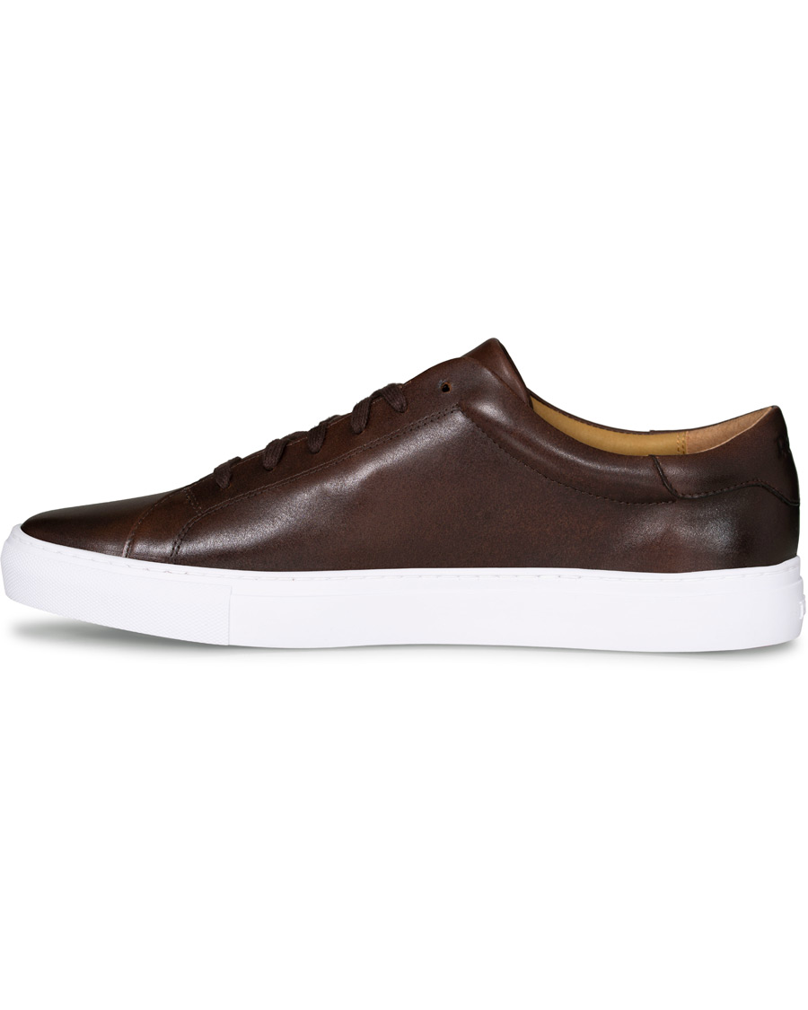 Heren | Polo Ralph Lauren Jermain II Sneaker Brown | Polo Ralph Lauren | Jermain II Sneaker Brown