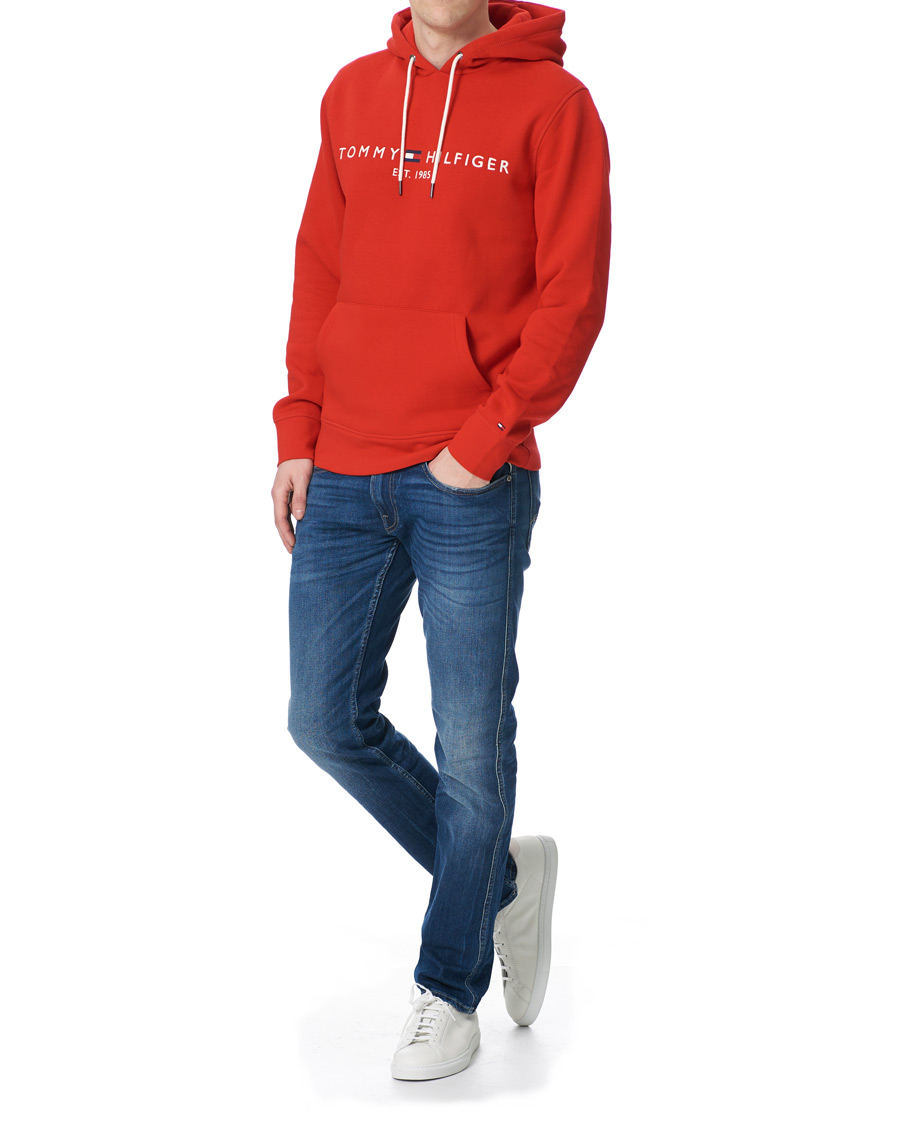 Heren | Truien | Tommy Hilfiger | Logo Hoodie Fireworks