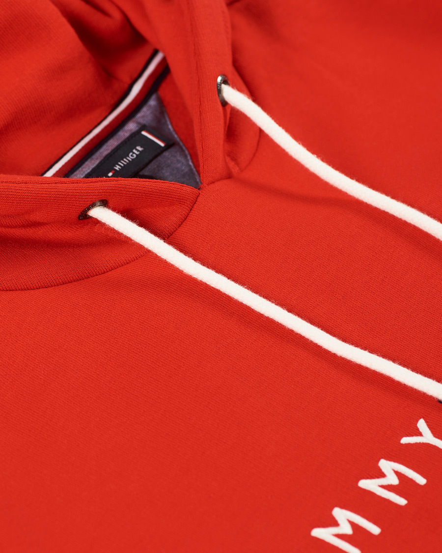 Heren | Truien | Tommy Hilfiger | Logo Hoodie Fireworks