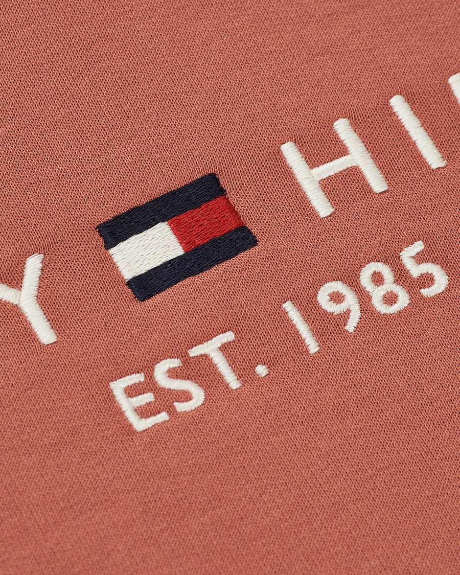 Heren | Truien | Tommy Hilfiger | Logo Hoodie Mineralize