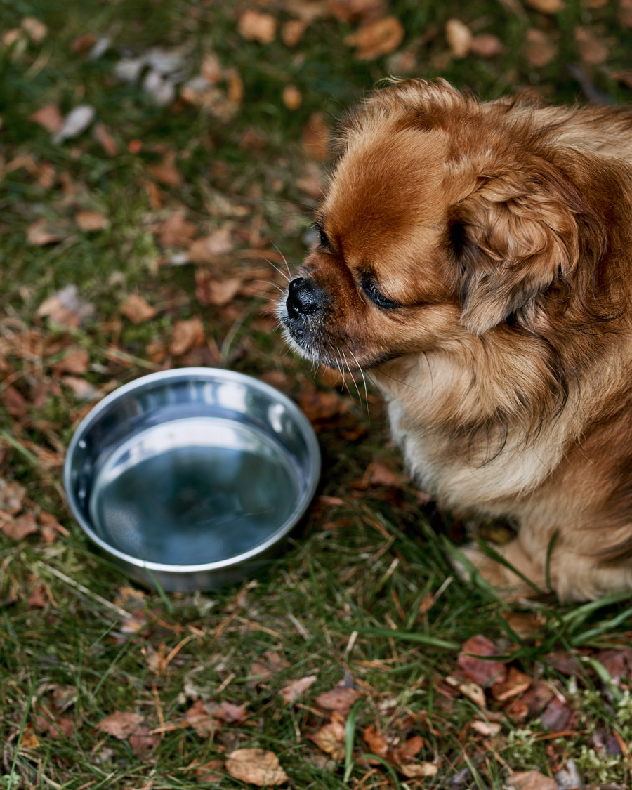 Heren | Lifestyle | Snow Peak | Dog Food Bowl