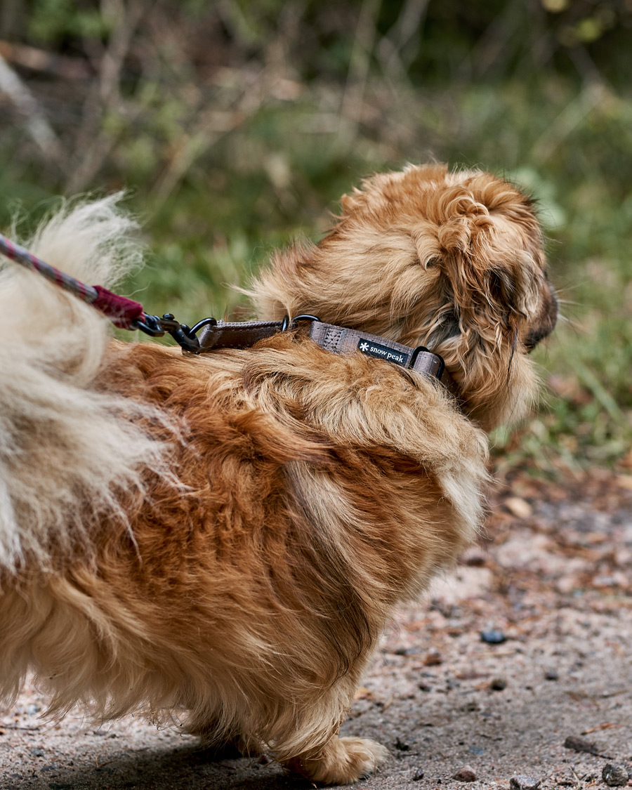 Heren | Kampeeruitrusting | Snow Peak | Dog Slip Collar Grey