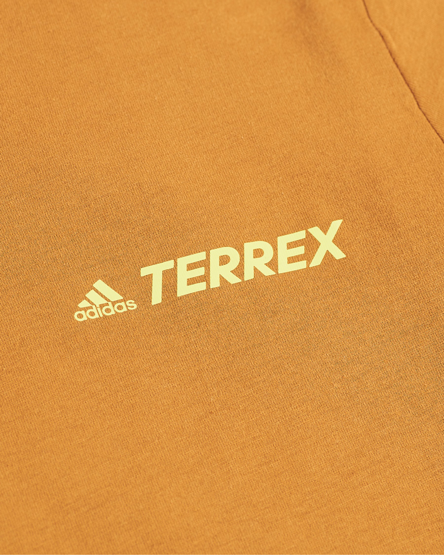 Heren | T-shirts | adidas Performance | Terrex MT Tee Mesa