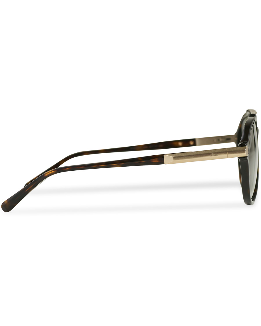 Heren | Brioni BR0096S Sunglasses Havana Green | Brioni | BR0096S Sunglasses Havana Green