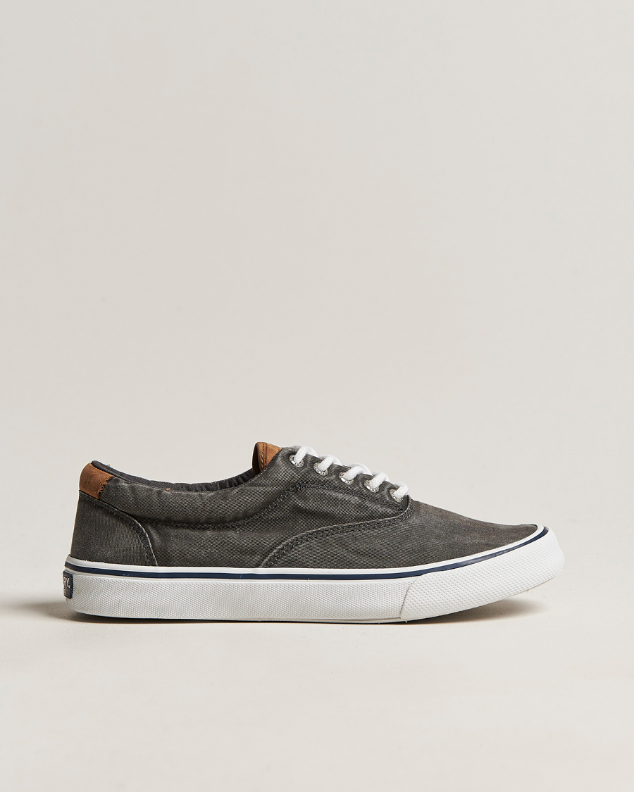 Heren | Sperry Striper II Canvas Sneaker Whased Black | Sperry | Striper II Canvas Sneaker Whased Black
