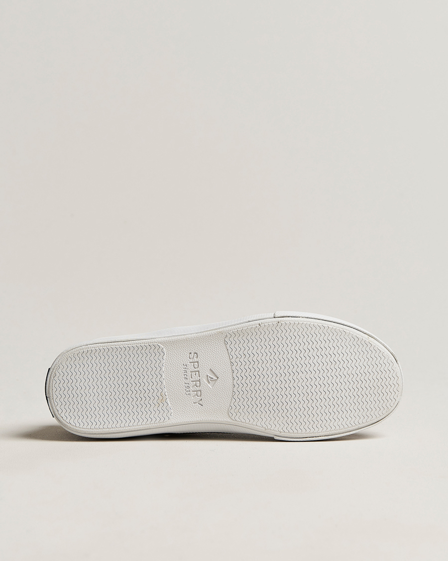Heren | Sperry Striper II Canvas Sneaker Whased Black | Sperry | Striper II Canvas Sneaker Whased Black