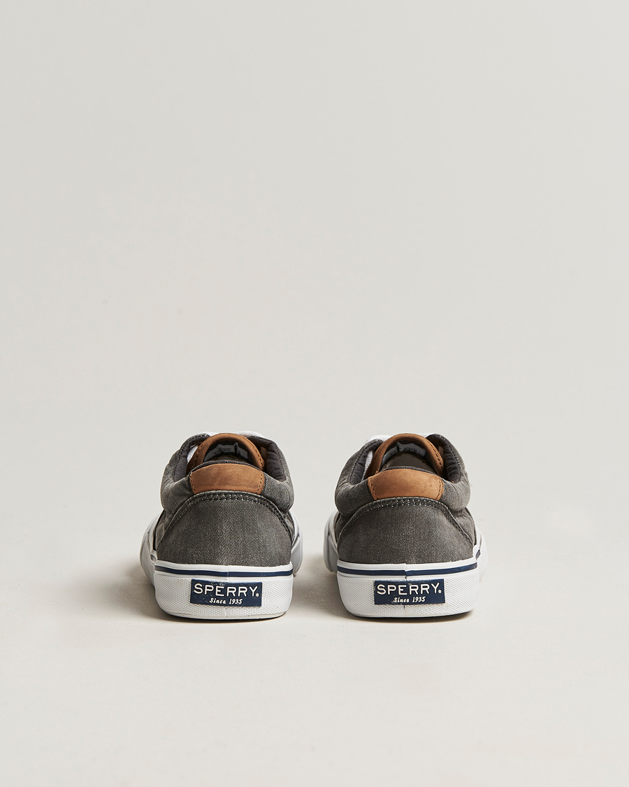 Heren | Sperry Striper II Canvas Sneaker Whased Black | Sperry | Striper II Canvas Sneaker Whased Black