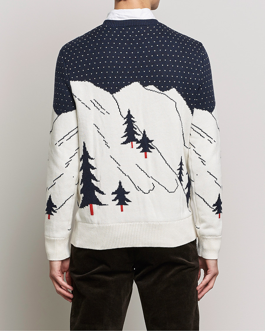 Heren | Truien | Polo Ralph Lauren | Cotton Ski Knitted Sweater Navy Multi