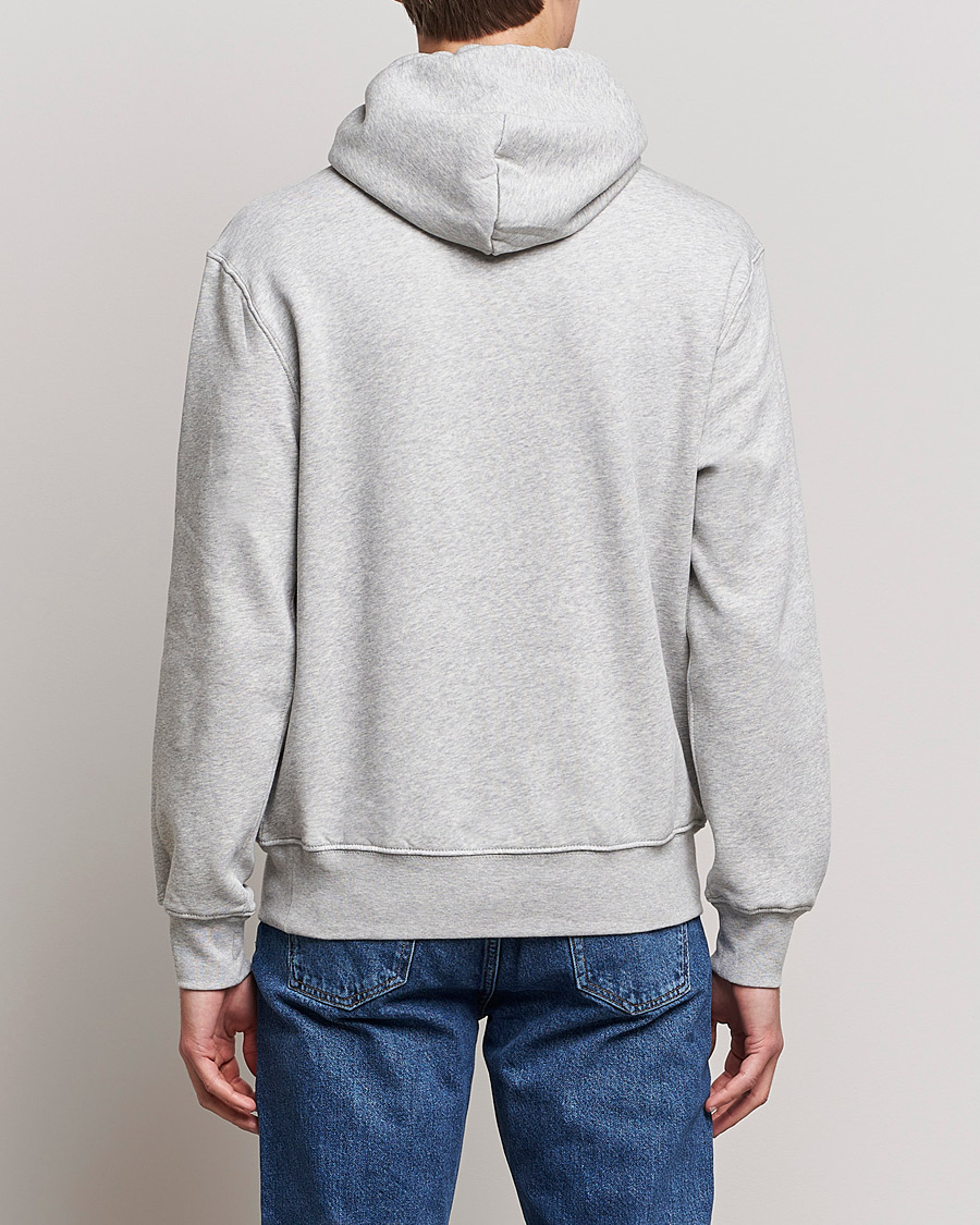 Heren | Truien | Polo Ralph Lauren | Magic Fleece Printed Bear Hoodie Andover Heather