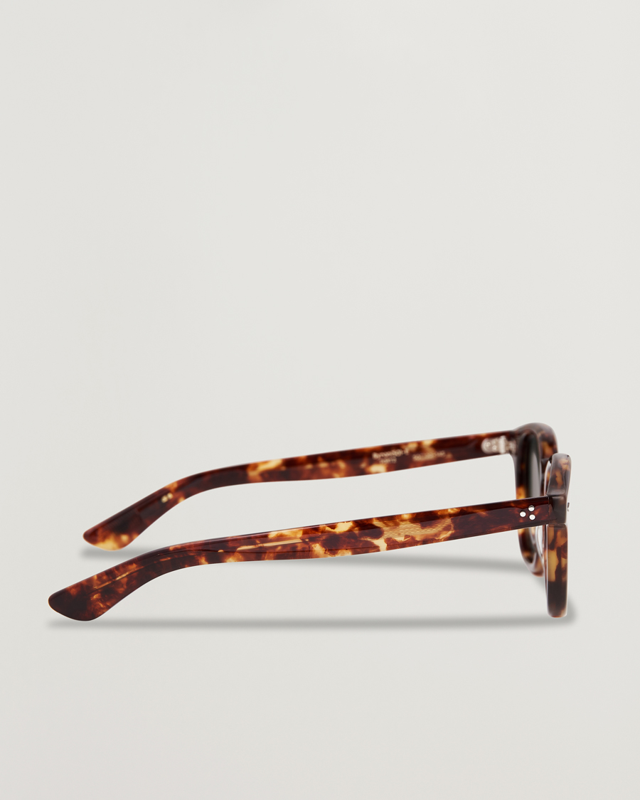 Heren | Zonnebrillen | EYEVAN 7285 | Byron Sunglasses Tortoise
