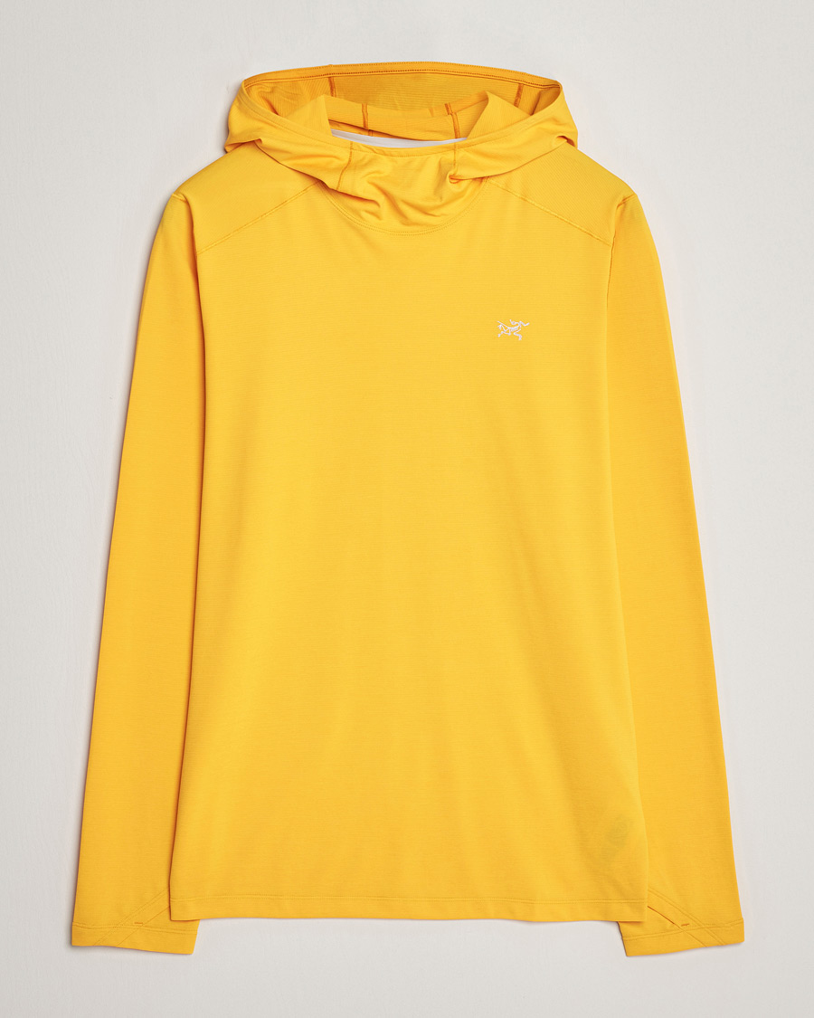 Heren | Truien | Arc'teryx | Cormac Hoodie Edziza Heather