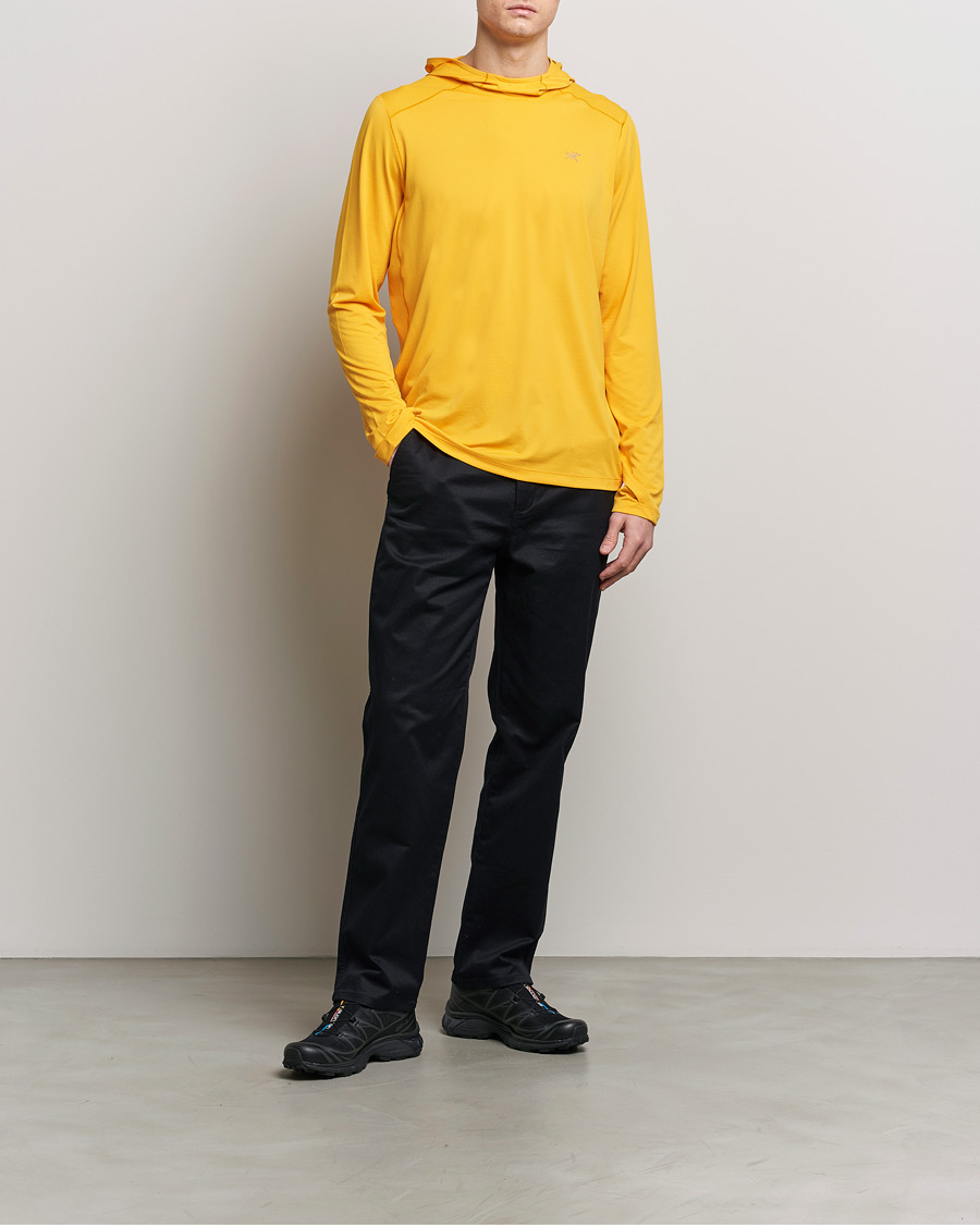 Heren | Truien | Arc'teryx | Cormac Hoodie Edziza Heather