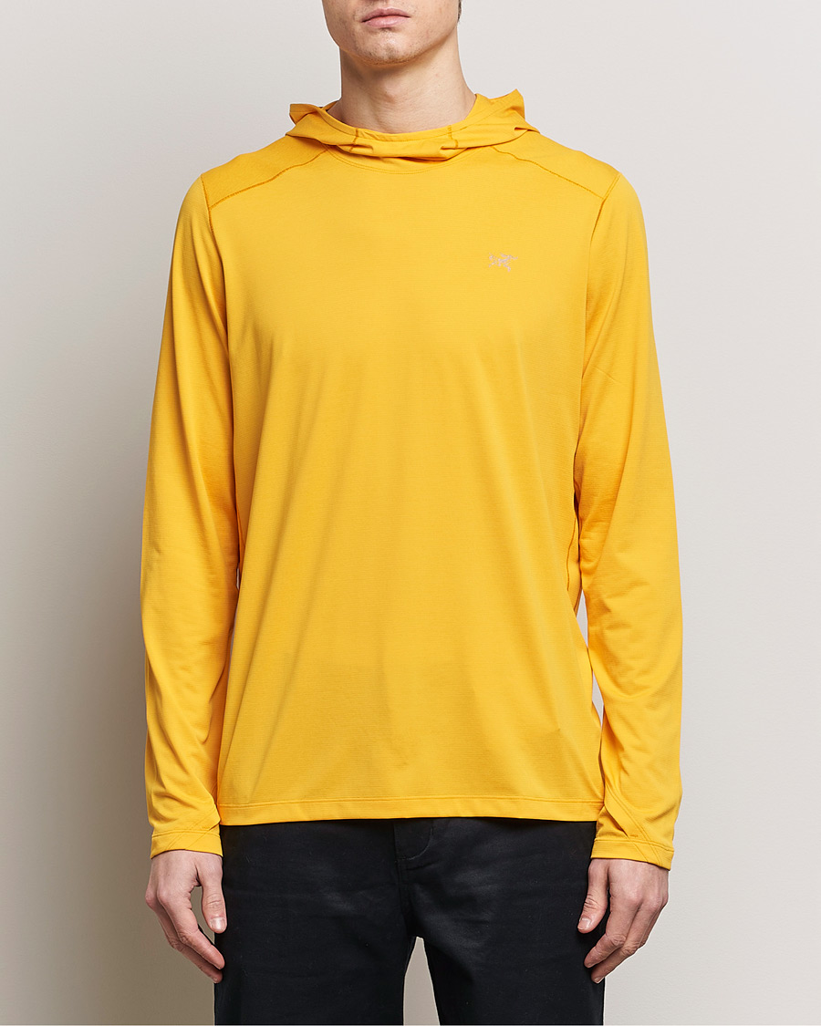 Heren | Hoodies | Arc'teryx | Cormac Hoodie Edziza Heather