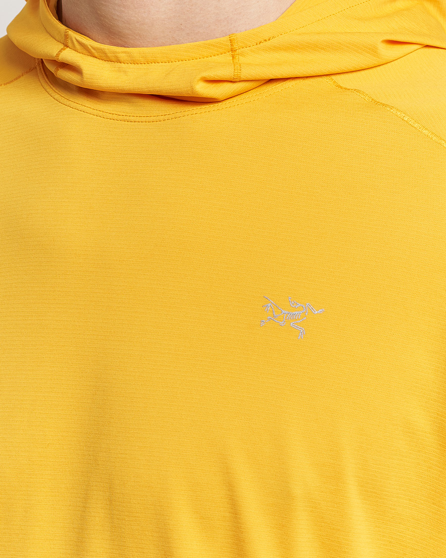 Heren | Truien | Arc'teryx | Cormac Hoodie Edziza Heather