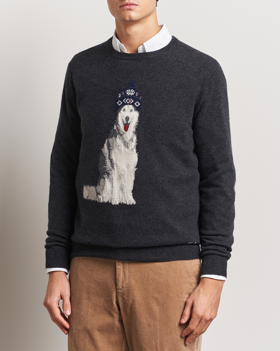 Heren | Truien | Polo Ralph Lauren | Holiday Dog Cashmere Sweater Dark Granite Heather