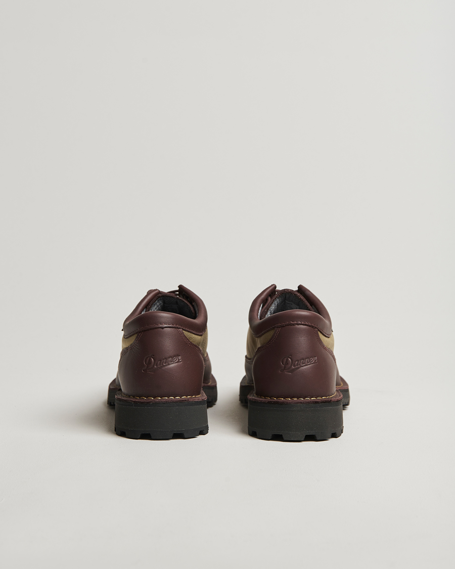 Heren | Wandel schoenen | Danner | Field GORE-TEX Low Boot Brown