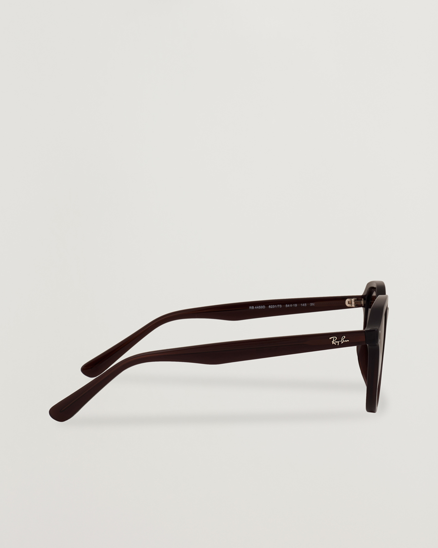 Heren | Zonnebrillen | Ray-Ban | 0RB4459D Sunglasses Opal Brown