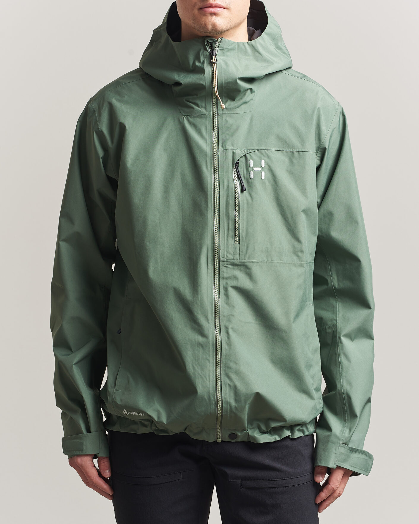 Heren | Jassen | Haglöfs | Alert Gore-Tex Jacket Chlorophyll Green