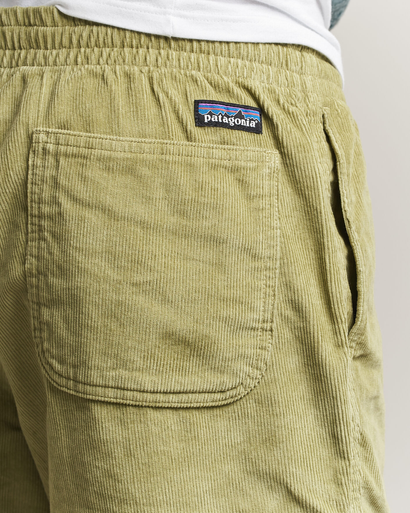 Heren | Korte broek | Patagonia | Corduroy Volley Shorts Green