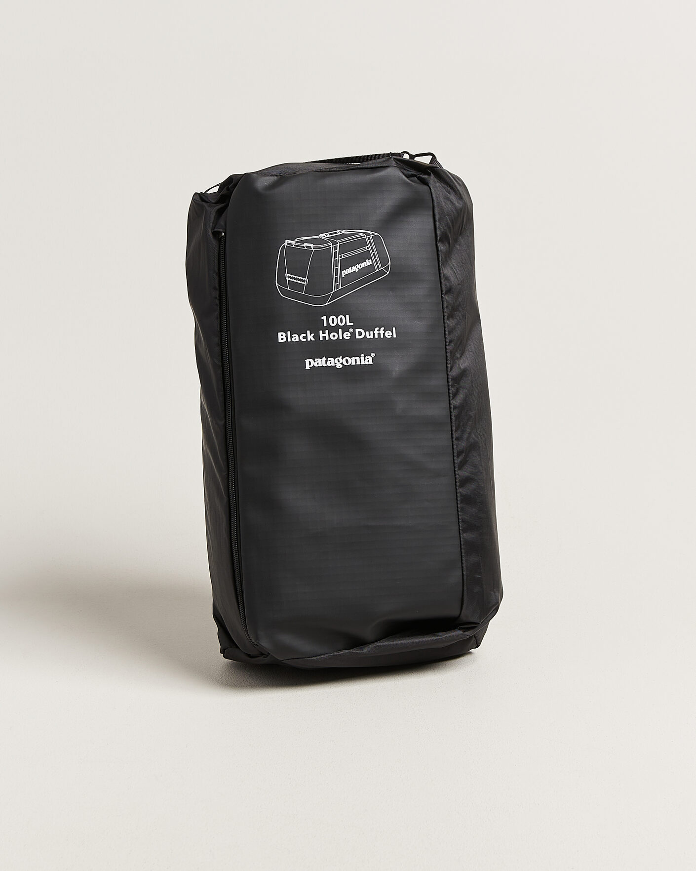 Heren | Tassen | Patagonia | Black Hole Duffel 100L Black