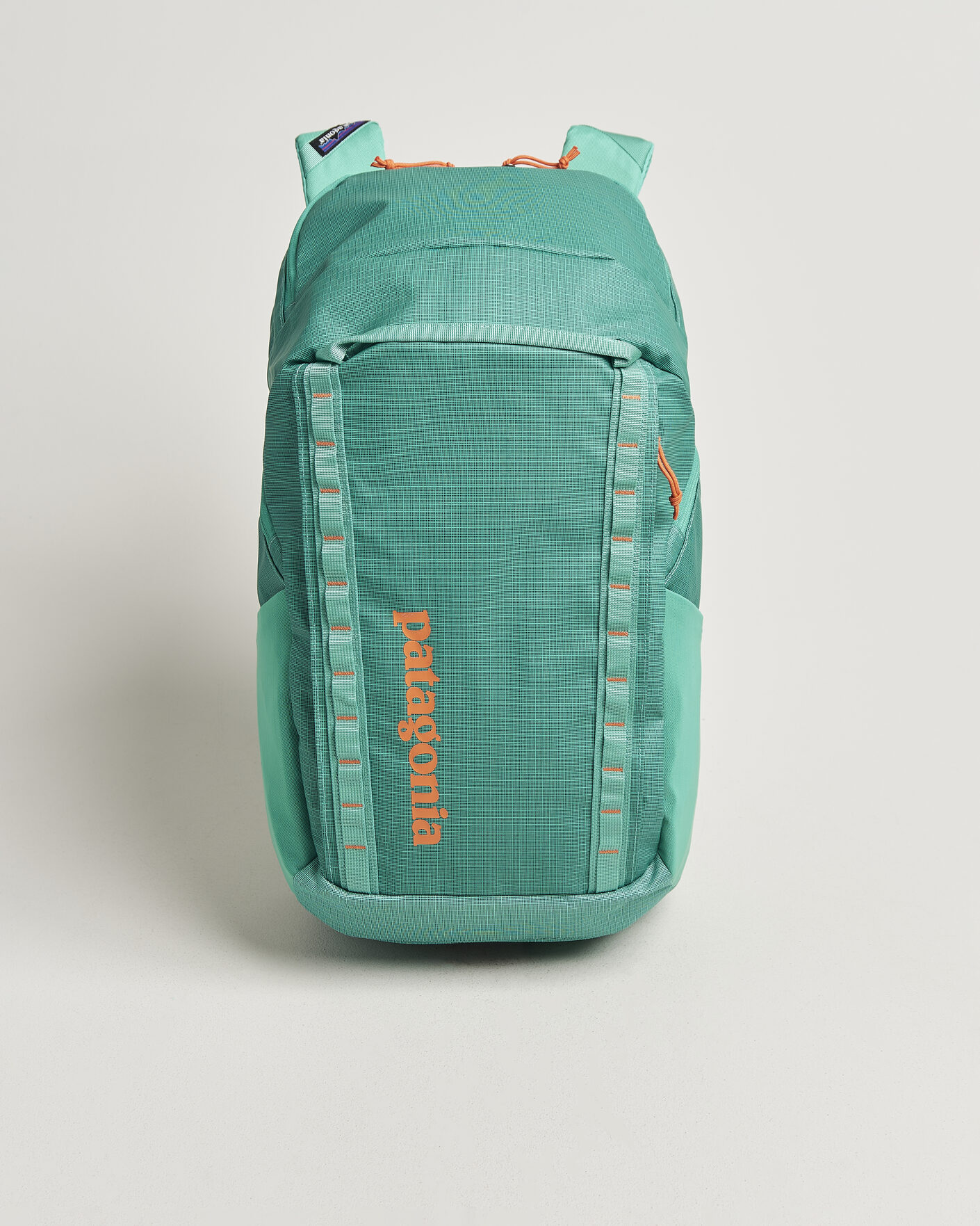 Heren | Tassen | Patagonia | Black Hole Pack 32L Aqua Stone