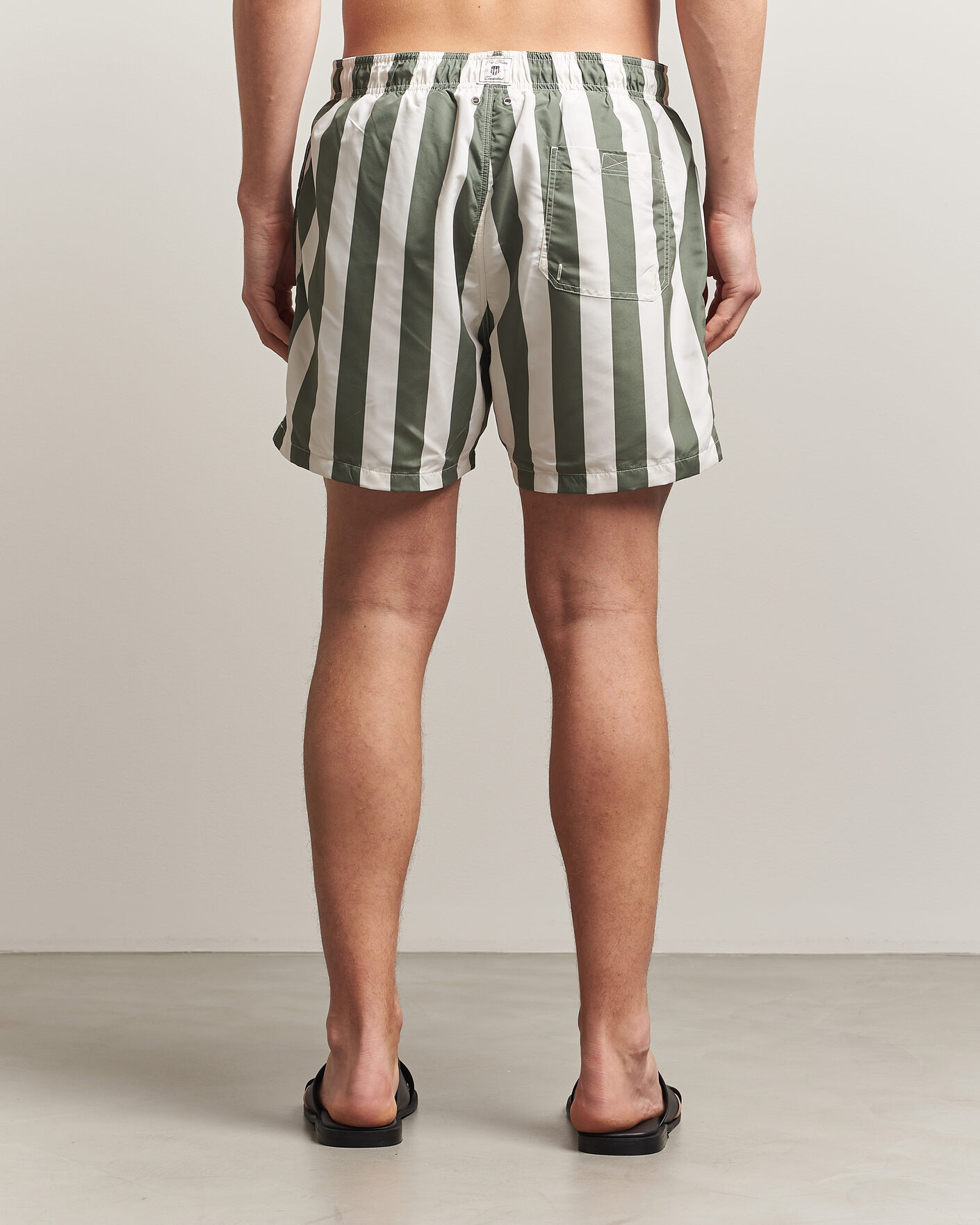 Heren | Zwembroek | Gant | Blockstriped Swimshorts Dry Herb Green