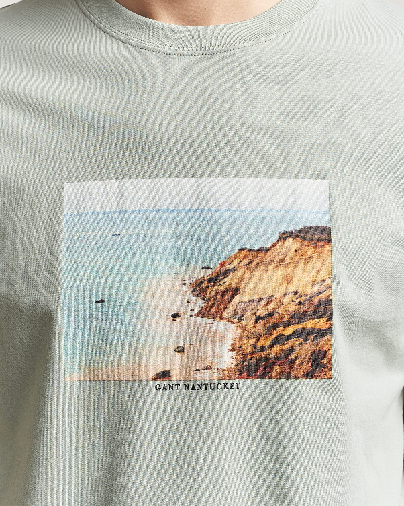 Heren | T-shirts | Gant | Scenery Graphic Crew Neck T-Shirt Ceramic Grey