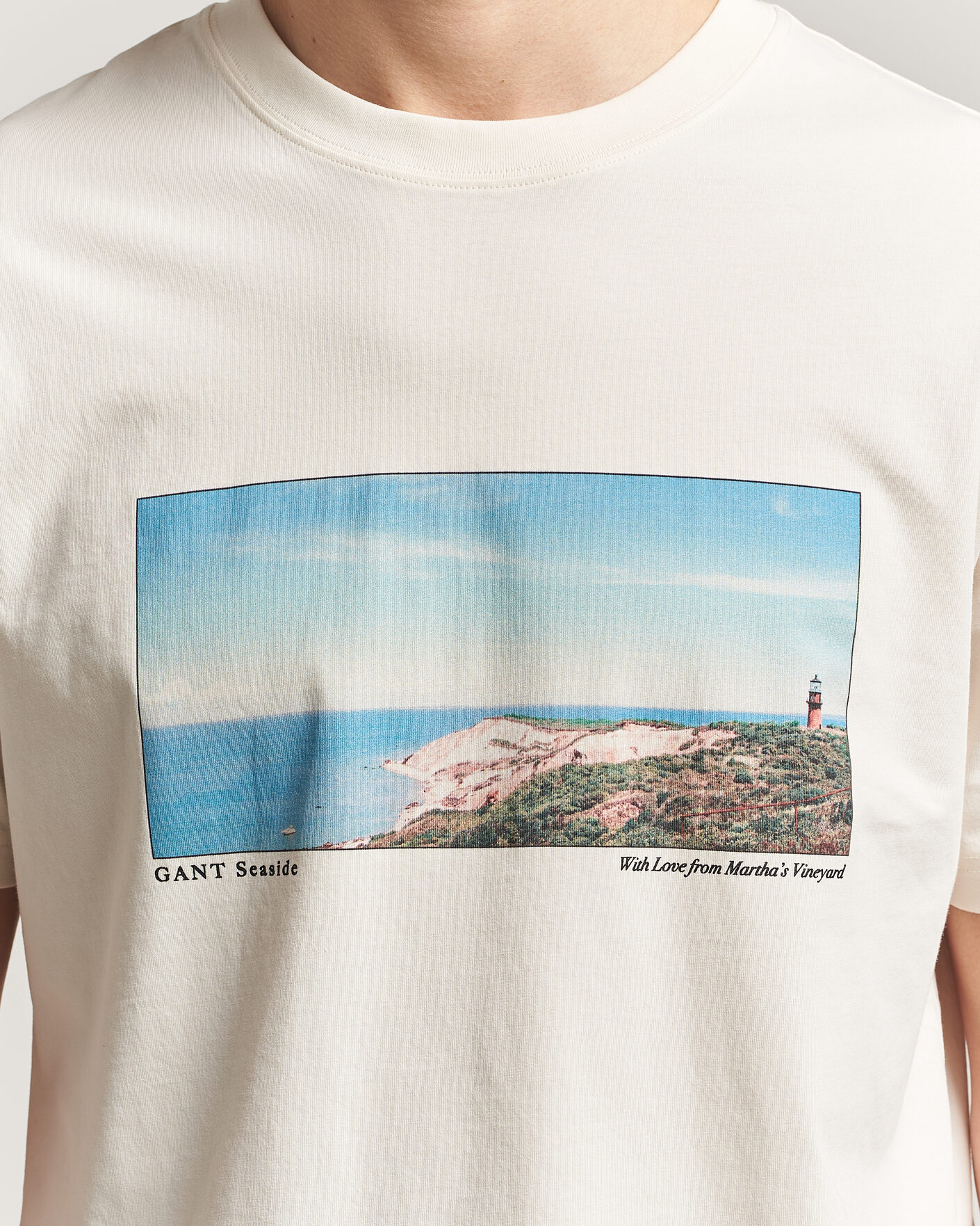 Heren | T-shirts | Gant | Scenery Graphic Crew Neck T-Shirt Cream