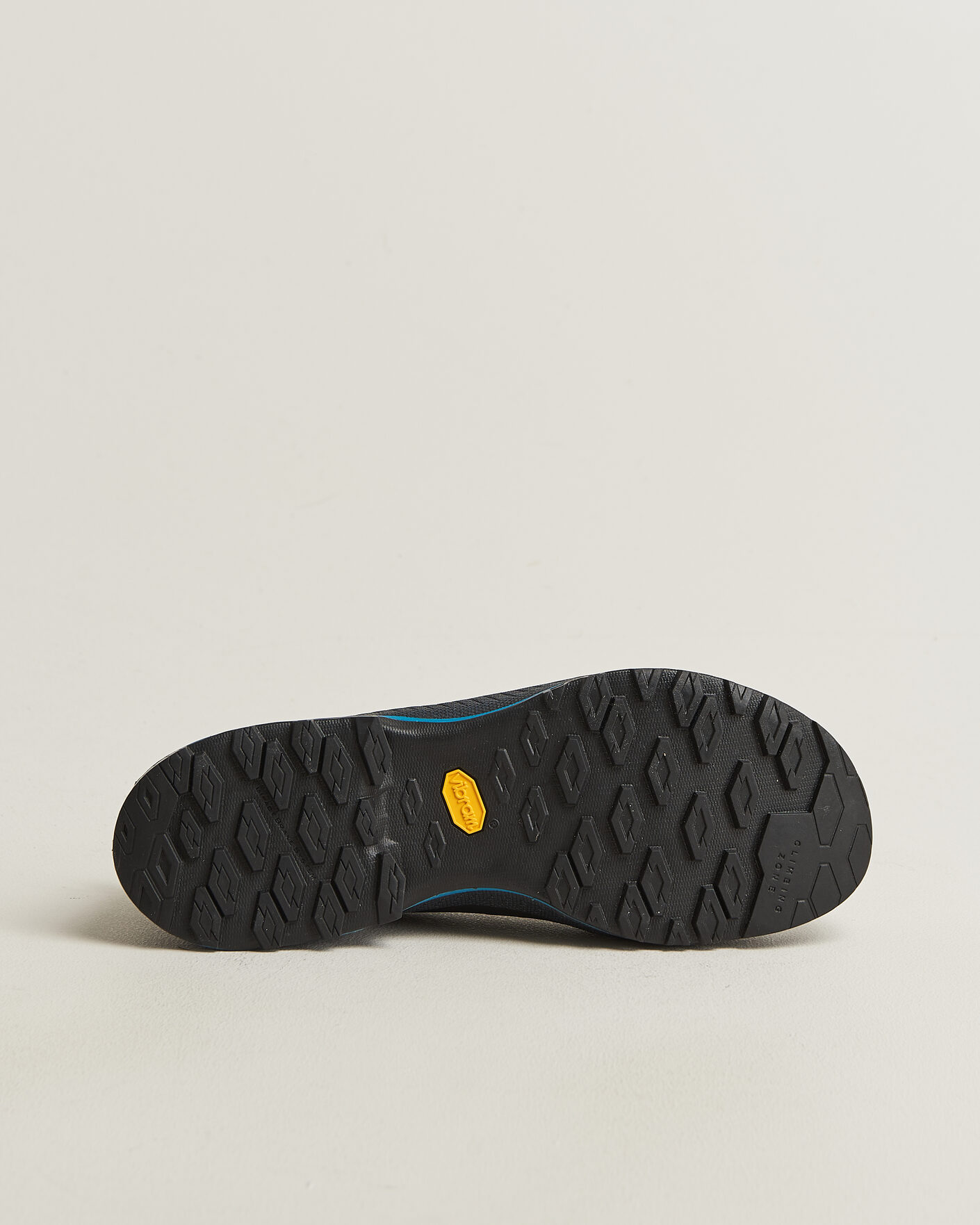 Heren | Wandel schoenen | La Sportiva | TX4 EVO Cypress/Night Sky