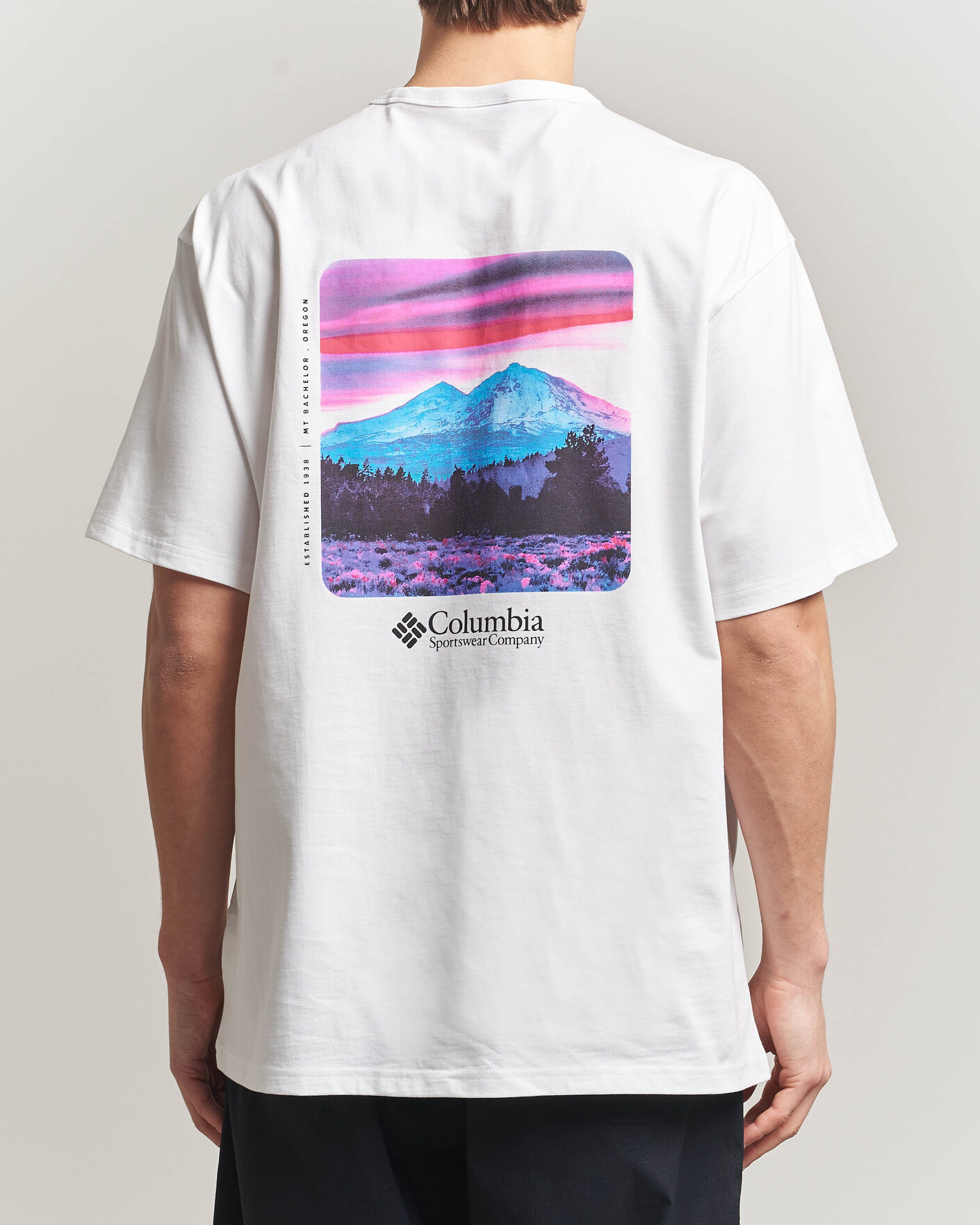Heren | T-shirts | Columbia | Heavyweight Back Graphic T-Shirt White