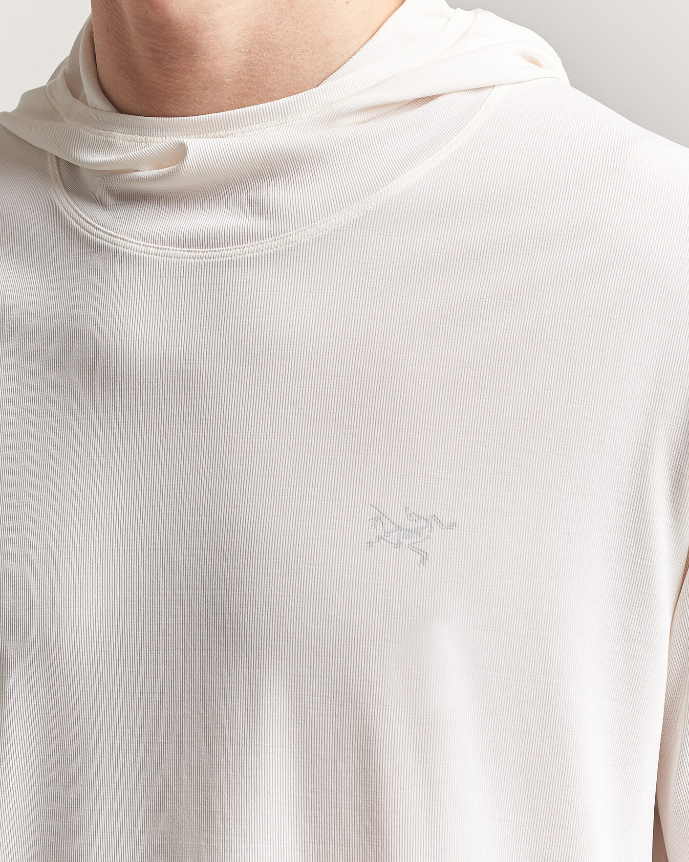 Heren | Truien | Arc'teryx | Cormac Hoodie Arctic Silk