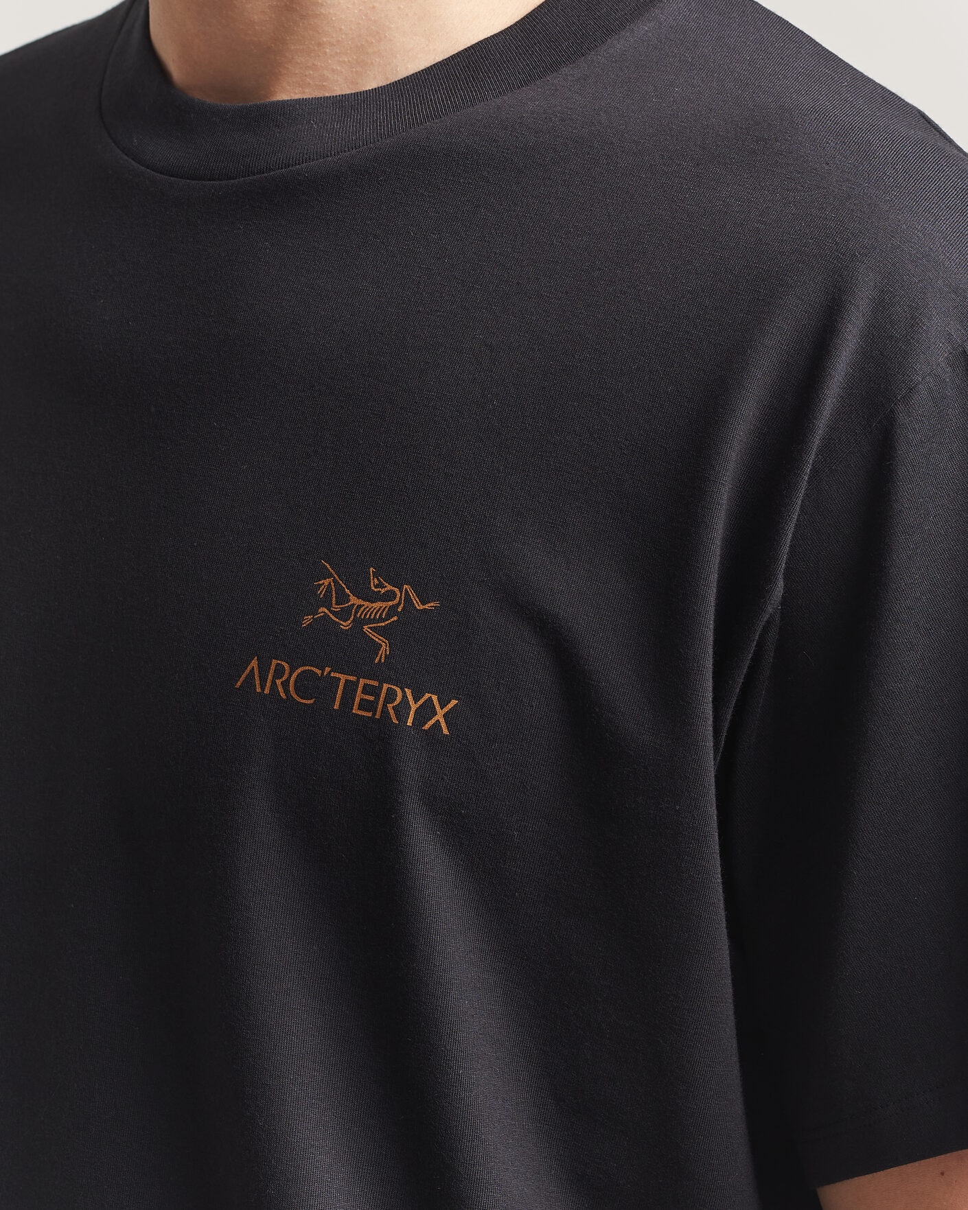 Heren | T-shirts | Arc'teryx | Kragg Cotton Bird Word T-Shirt Black