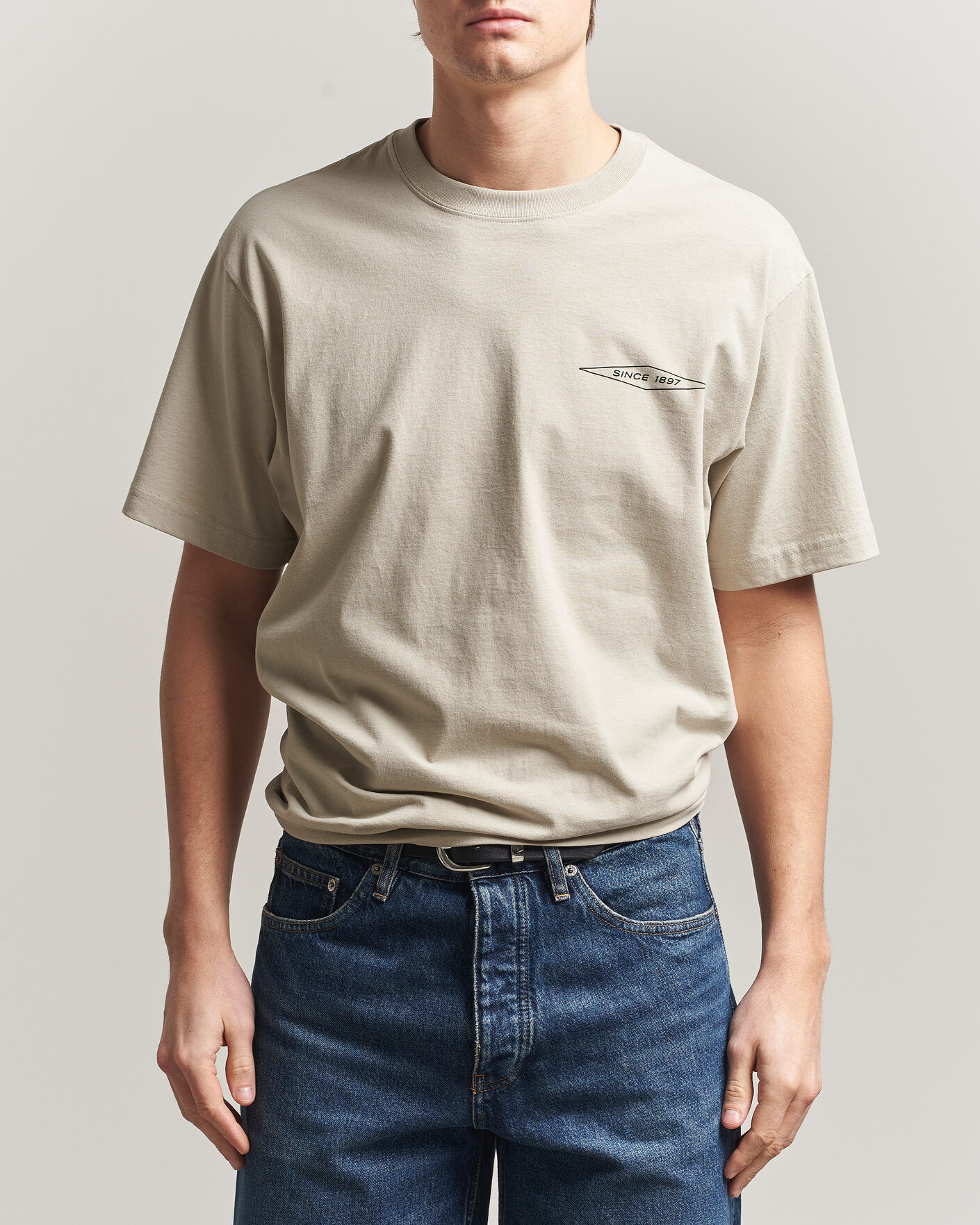 Heren | T-shirts | Filson | Diamond Graphic T-Shirt Sky Grey