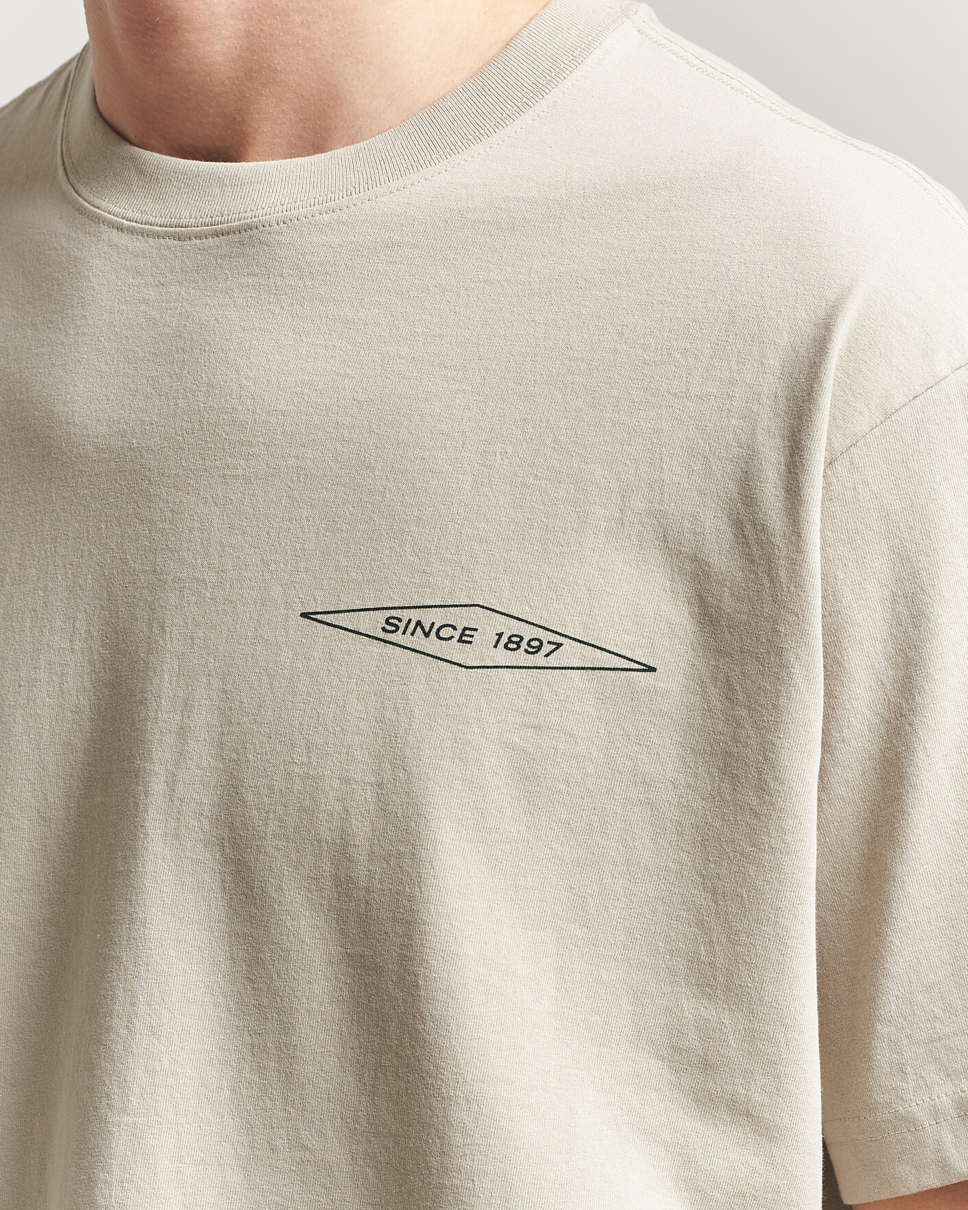 Heren | T-shirts | Filson | Diamond Graphic T-Shirt Sky Grey