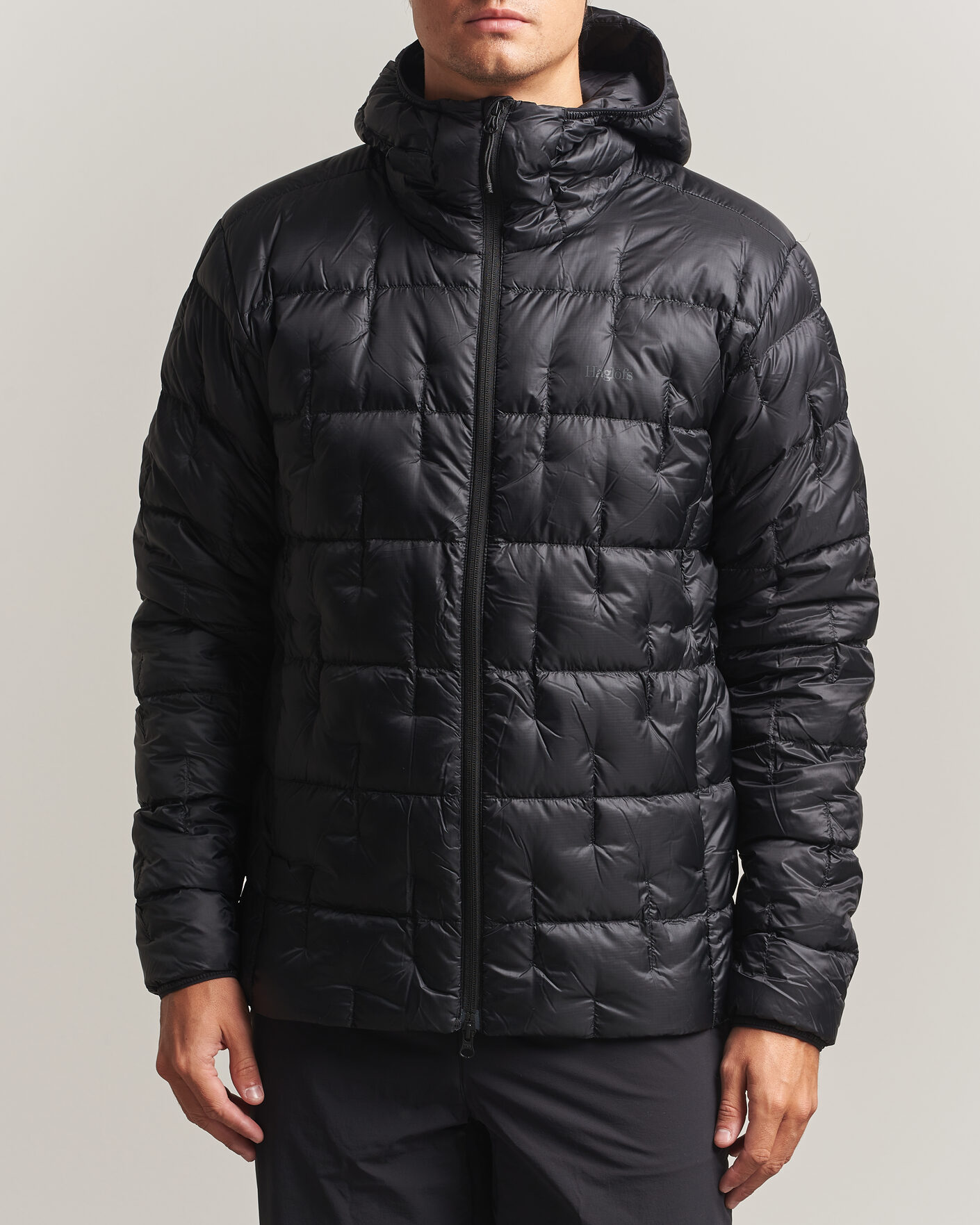 Heren | Jassen | Haglöfs | Hede Down Hood Jacket True Black