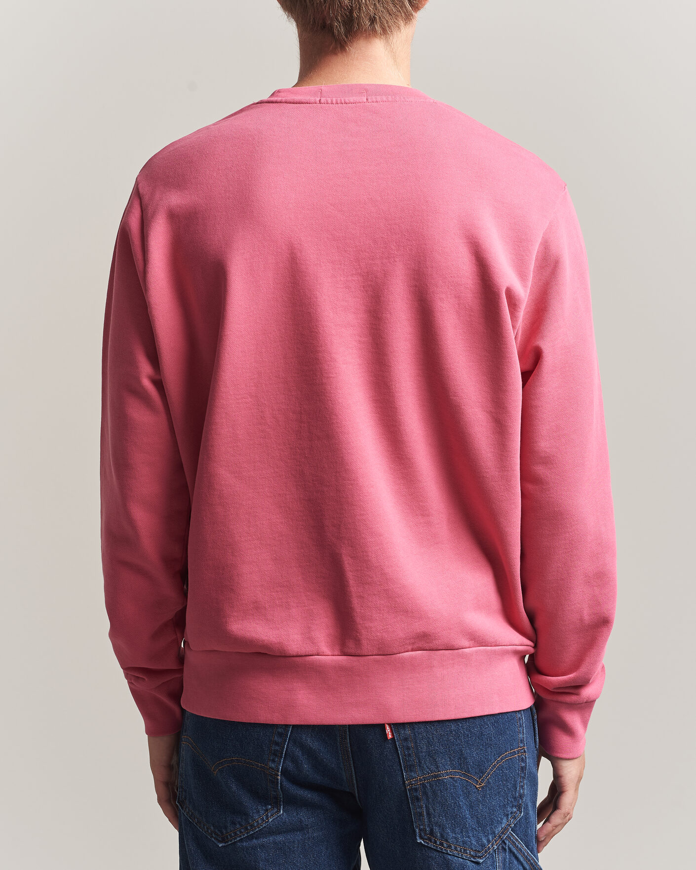 Heren | Truien | Polo Ralph Lauren | Loopback Terry Sweatshirt Terrance Pink